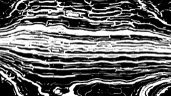 image: image from regionisers 3