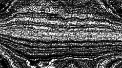 image: 4.0 collection thumbnail