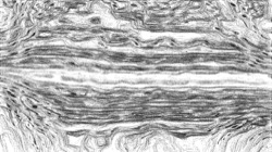 image: image from sketch