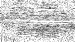 image: image from sketch