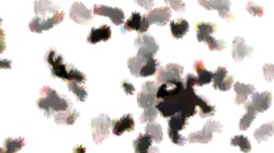 image: image from watercolour 3