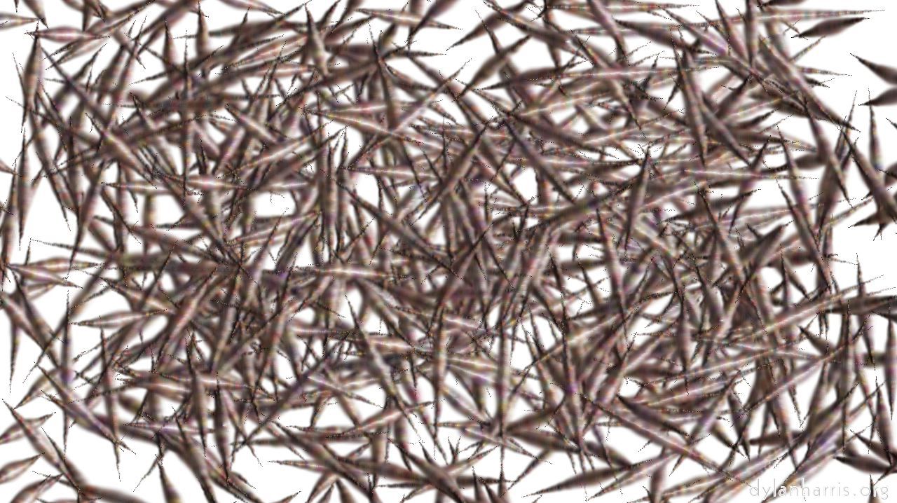 image: active draw manual :: fireworks2