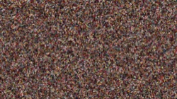 image: image from active draw manual