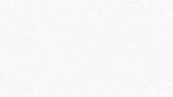 image: image from examples