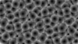 image: image from movie time particle ex