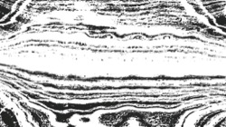 image: image from rough sketch scribblers