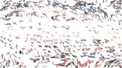 image: image from sketching