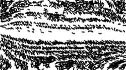 image: image from sketching