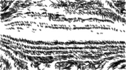 image: image from sketching