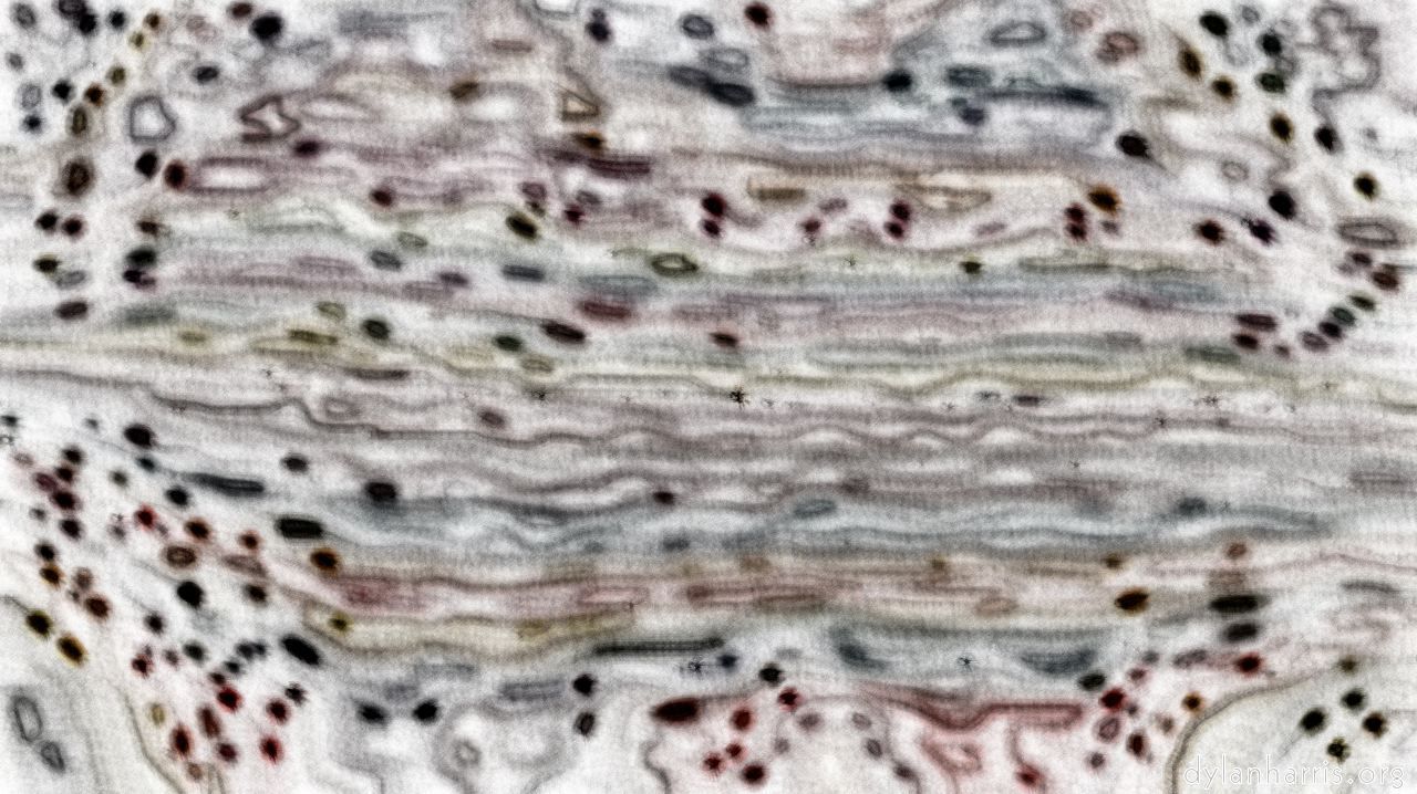 image: whispy attractors :: whispy6a