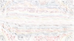 image: image from whispy attractors