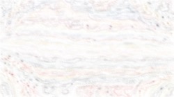 image: image from whispy attractors