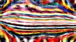 image: image from wild