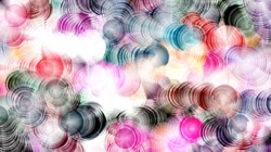 image: image from wild