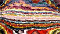 image: image from wild