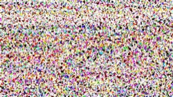 image: image from wild