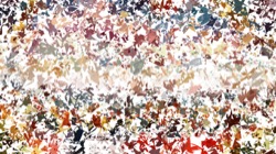 image: image from msg attractor ex