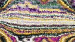 image: image from new1