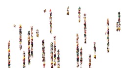 image: image from new1