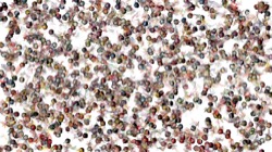 image: image from new1