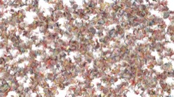 image: image from new1