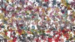 image: image from new1