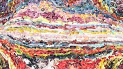 image: image from new1