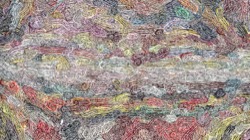 image: image from new1