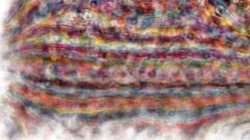 image: image from new1