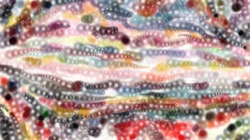 image: image from test 2