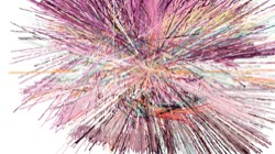 image: image from test 2