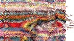 image: image from test 2