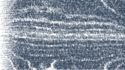 image: image from vector test