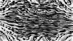 image: image from dry media pencils