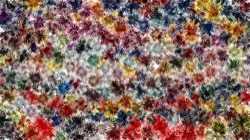 image: image from 3.0 general