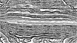 image: image from 3.0 tutorial