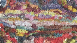 image: image from 3d lighting