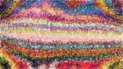 image: image from artistic cloners