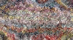 image: image from artistic cloners