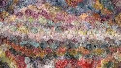 image: image from artistic cloners