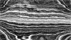 image: image from auto sketch