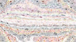 image: image from chalk