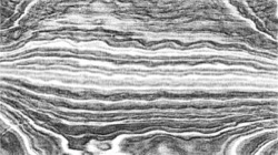 image: image from charcoal