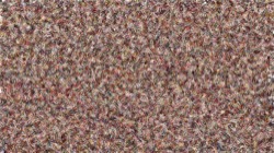 image: image from general