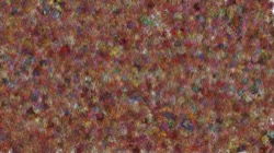 image: image from liquid