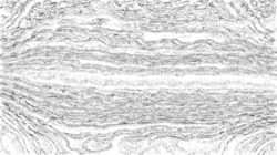 image: image from pencils