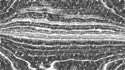 image: image from pencils