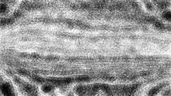 image: image from pencils