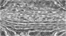 image: image from pencils