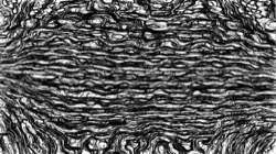 image: image from pencils